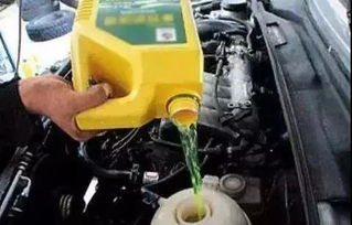 景德鎮廣甸大眾